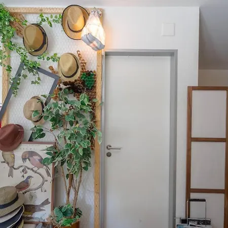 Zurich Accomodation
