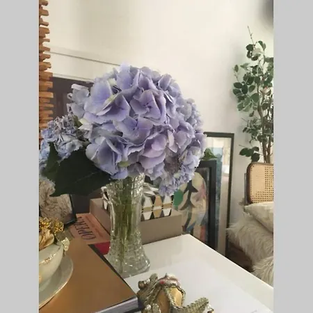 Appartement Zurich Accomodation