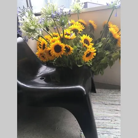 Zurich Accomodation *