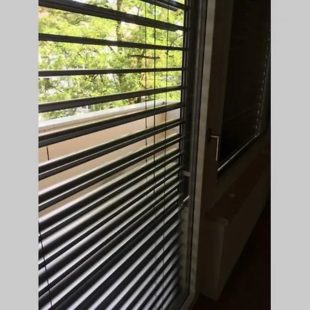 Zurich Accomodation Daire *