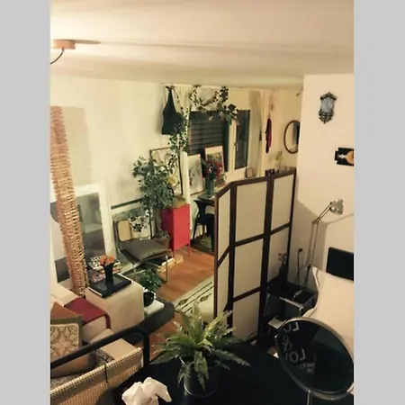 Zurich Accomodation Zürih